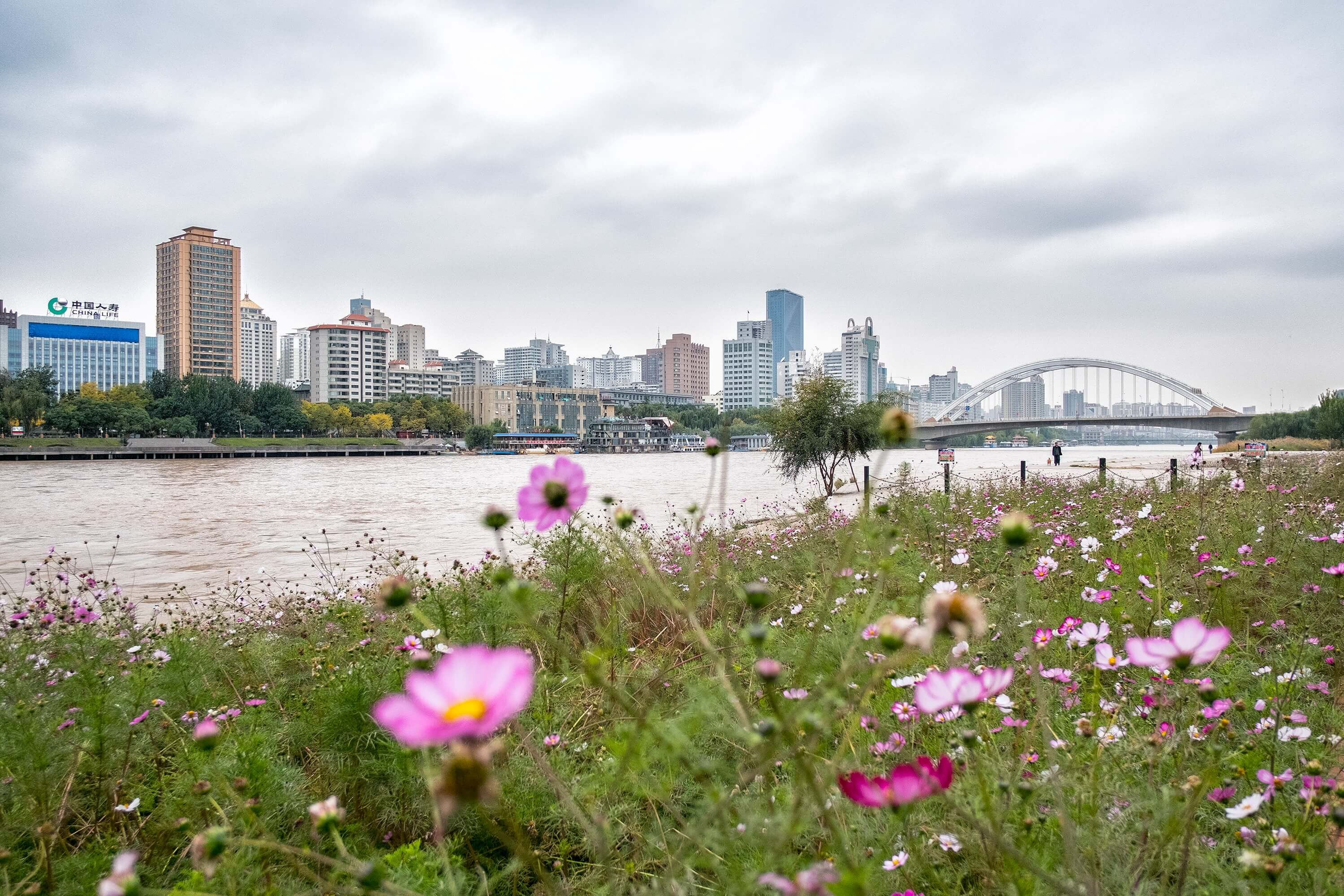 Lanzhou Down By The Banks