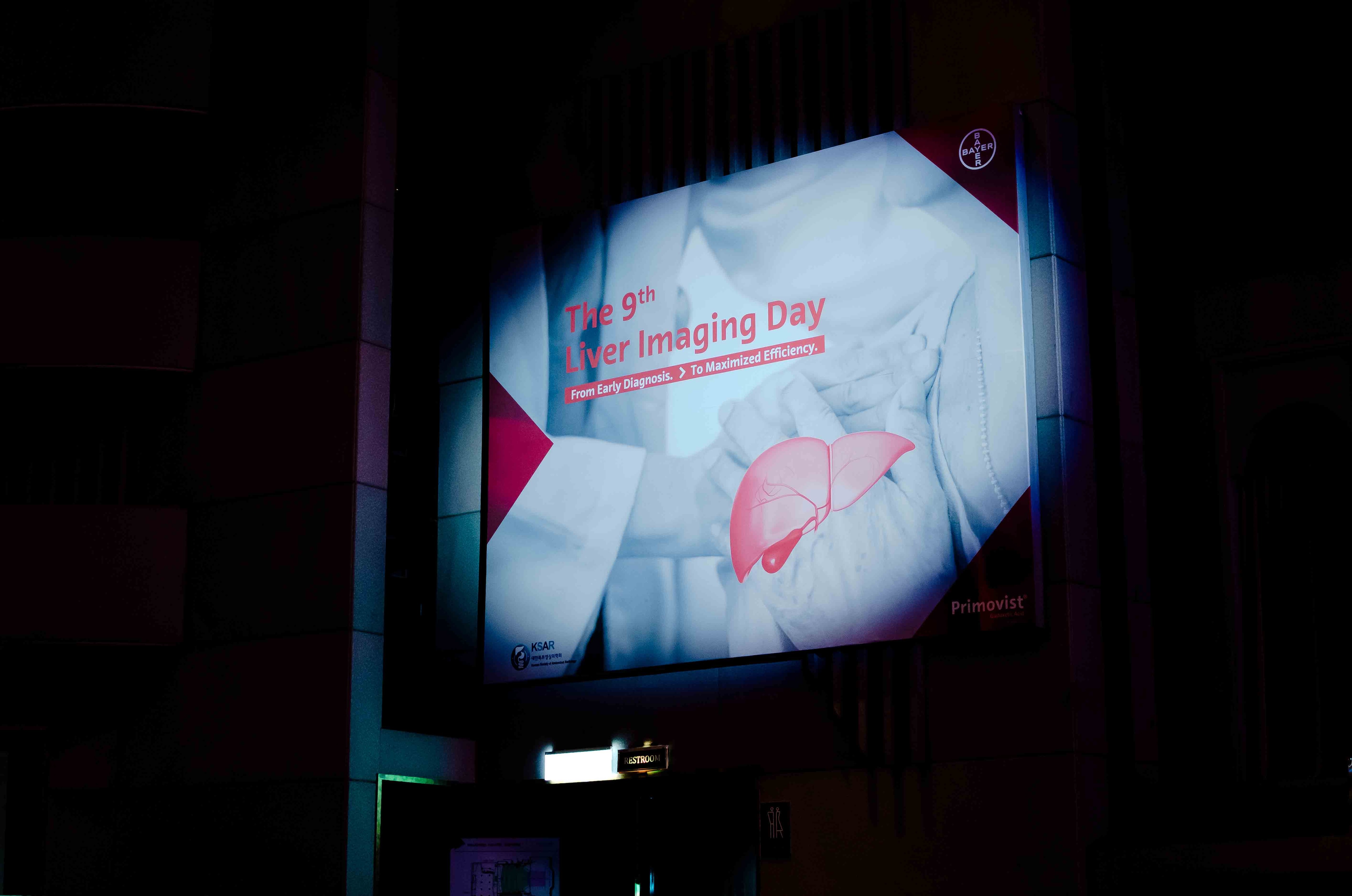 Liver imaging day 2019 preview image
