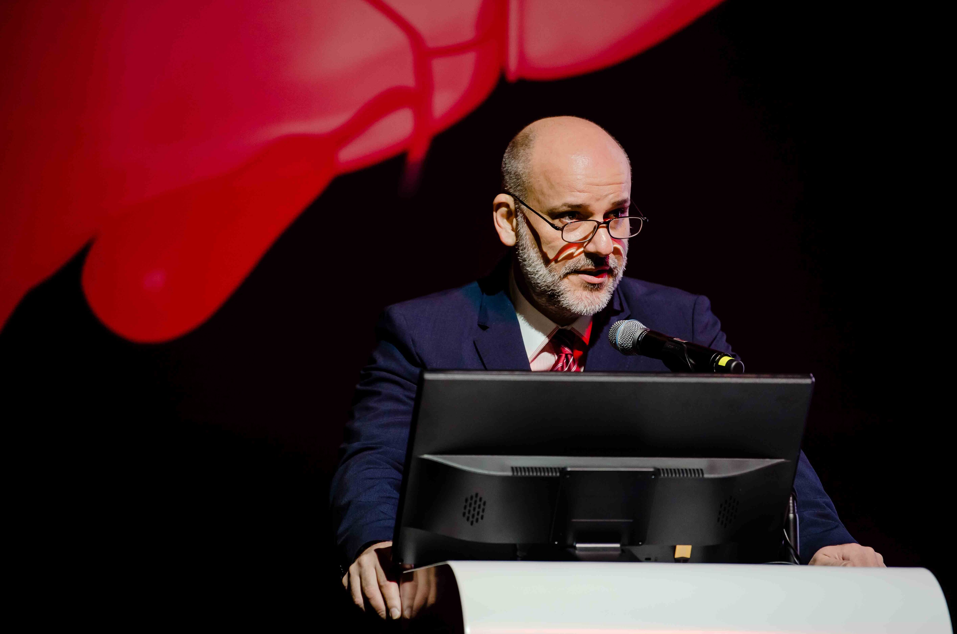 Liver imaging day 2019 preview image